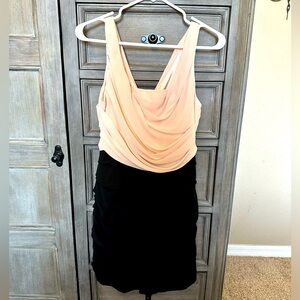 Express Dress size 6